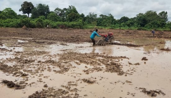 Lahan pertanian yang ada di Kecamatan Bongan Kabupaten Kutai Barat. Foto: HO