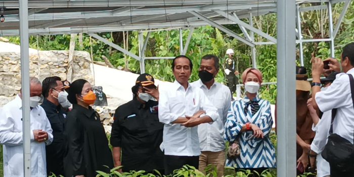 Presiden Joko Widodo mengawali kunjungan kerjanya ke Provinsi Kalimantan Timur dengan meninjau Persemaian Mentawir di Kabupaten Penajam Paser Utara, Rabu, (22/6/2022). Foto: BorneoFlash.com/Niken.