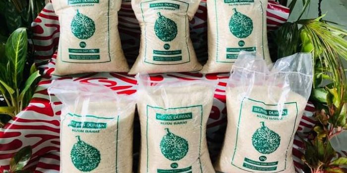 Kampung Jambuk Makmur Masuki Masa Panen, Maksimalkan Produksi Beras Durian  