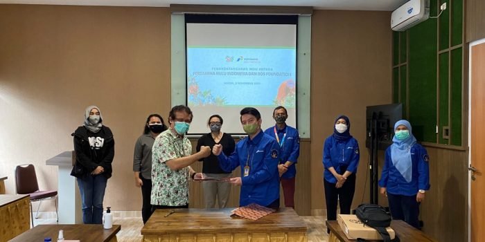 PT Pertamina Hulu Indonesia (PHI) mendukung konservasi orangutan melalui program rehabilitasi orangutan di Samboja Lestari, Kalimantan Timur, dengan menggandeng Borneo Orangutan Survival Foundation (BOS Foundation). 