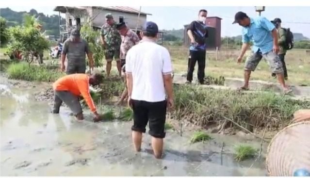 Badan Amil Zakat Nasional (Baznas) Provinsi Kalimantan Timur menyalurkan bantuan 600 kilogram bibit padi kepada kelompok tani di Kelurahan Tani Aman, Kecamatan Loa Janan Ilir Samarinda Seberang pada Sabtu, (3/9/2022) lalu. Foto: HO/Baznas Kaltim.