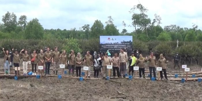 Menteri LHK dan Menteri Iklim Norwegia Tanam 650 Ribu Bibit Mangrove di Sotek, Libatkan Kelompok Tani Hutan   