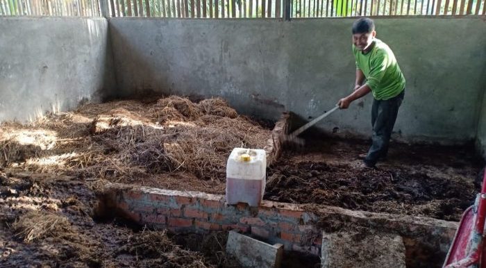 Pembuatan pupuk organik ini adalah UMKM yang diupayakan oleh Poktan Sumber Rezeki di Kabupaten Paser. Foto: HO.