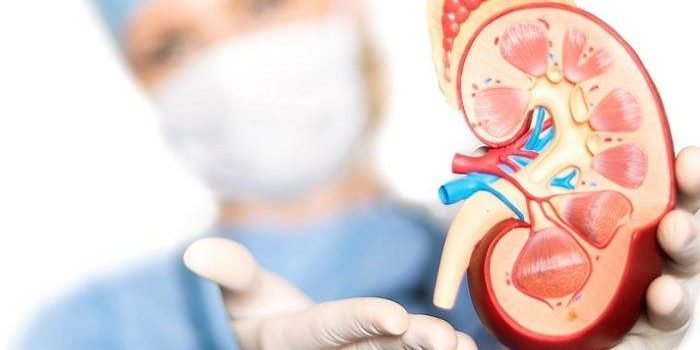 Kemenkes Ambil Kebijakan Antisipatif Untuk Cegah Gangguan Ginjal Pada Anak  