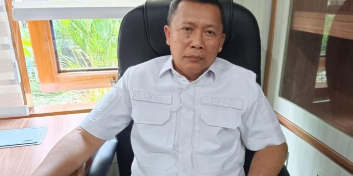 Parlindungan Sebut Fasilitas Pendidikan dan Kesehatan Jadi Prioritas Pembahasan RPJPD 2025-2045