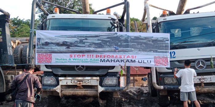 Minta Pertanggungjawaban PT NGU 5, Masyarakat Danum Paroy Mahulu Masih Segel Tali Adat Kayu dan Alat Berat