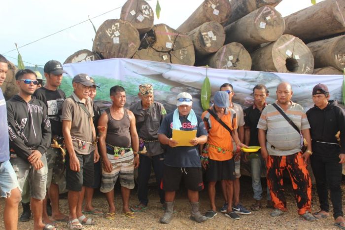 Masyarakat Adat Kampung Danum Paroy masih menduduki Logpond Pedat tempat penumpukan kayu log milik PT Nusantara Graha Utama atau NGU 5. Kamis (1/12/2022). Foto: BorneoFlash.com/Ist.