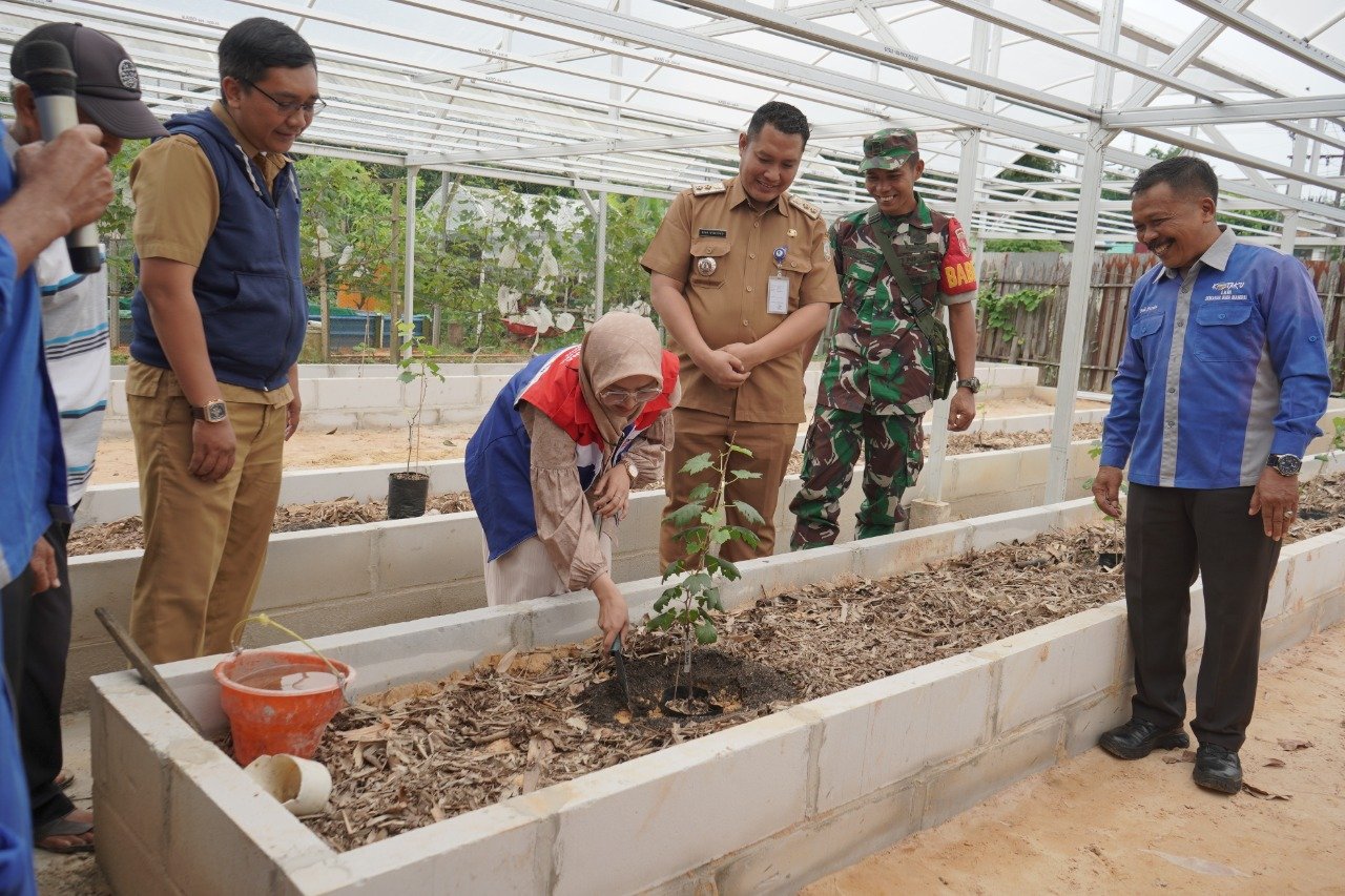 Optimalkan Lahan Tidur, Pertamina-LKM Semarak Bina Mandiri Balikpapan Bangun Green House Anggur