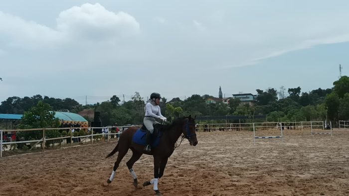 Festival kuda yang berlangsung di Lapangan Gedung Kesenian,.pada hari Minggu (15/1/2023). Foto: BorneoFlash.com/Niken Sulastri.