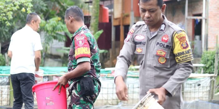 Bripka I Komang Agus Setiawan bersama Babinsa Graha Indah Balikpapan Serda Suratno dan Lurah Gunung Samarinda Tarso membudidaya ikan lele. Foto: BorneoFlash.com/Ist.
