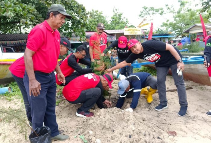 PDI Perjuangan Kota Balikpapan menanam 50 Pohon Cemara, di Pantai Seraya Gang Perjuangan RT 28, Kelurahan Sepinggan Raya, Kecamatan Balikpapan Selatan, pada hari Sabtu (28/1/2023). Foto: BorneoFlash.com/Niken Sulastri.