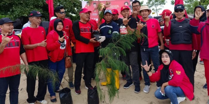 Rawat Ibu Pertiwi, PDI Perjuangan Kota Balikpapan Tanam 50 Pohon Cemara di Pantai Seraya