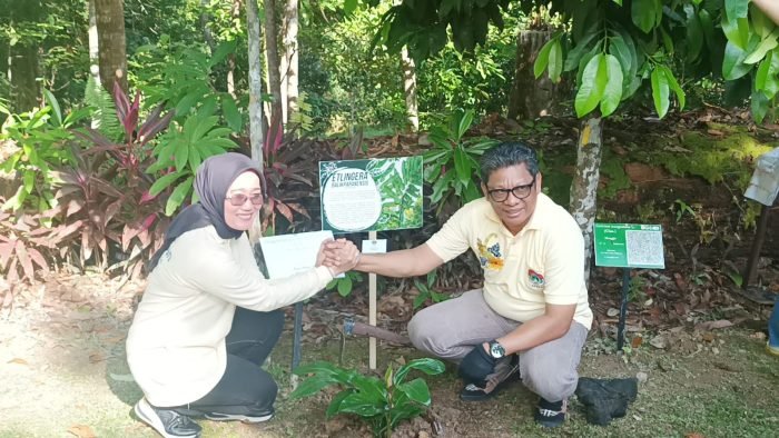 Wali Kota Se-Kalimantan saat melakukan penanaman pohon di Kebun Raya Balikpapan, pada hari Minggu (19/3/2023). (Foto: BorneoFlash.com/Niken)