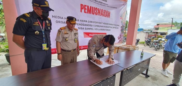 Karantina Pertanian Balikpapan Musnahkan Komoditas Pertanian Ilegal Hasil Penahanan