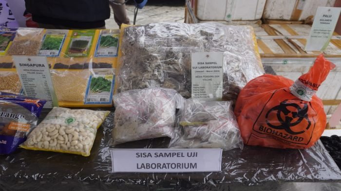 Barang Bukti Organisme Pengganggu Tumbuhan Karantina