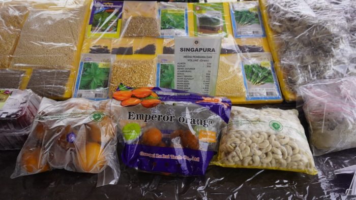 Pengumpulan Barang Bukti Organisme Pengganggu Tumbuhan Karantina
