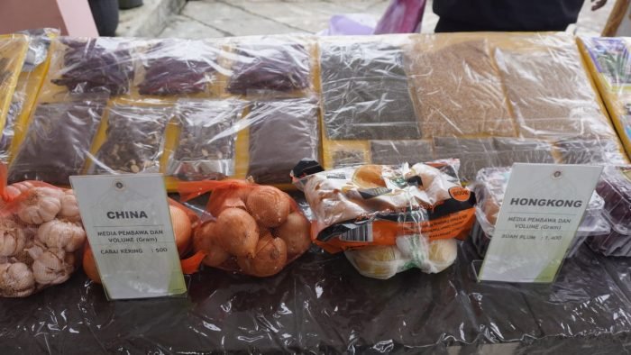 Barang Bukti Pemusnahan Organisme Pengganggu Tumbuhan Karantina