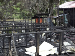 Kebakaran di Kampung Long Pahaq, Mahakam Ulu.
