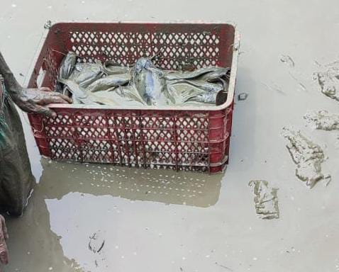 Pembinaan Lapas Balikpapan kepada Warga Binaannya melalui kegiatan pembesaran ikan air tawar yakni Ikan Lele dan Ikan Patin. Foto: BorneoFlash.com/Ist.