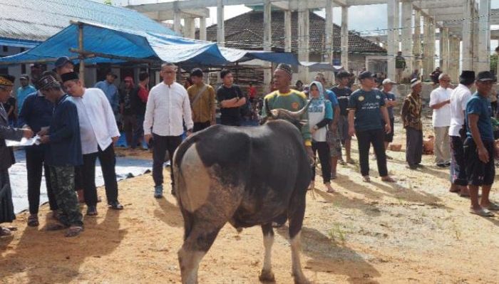 Kepala OIKN Bambang Susantono menyerahkan hewan kurban secara simbolis di Masjid Nurul Muttaqin Bumi Harapan, Sepaku. Foto: BorneoFlash.com/Ist.