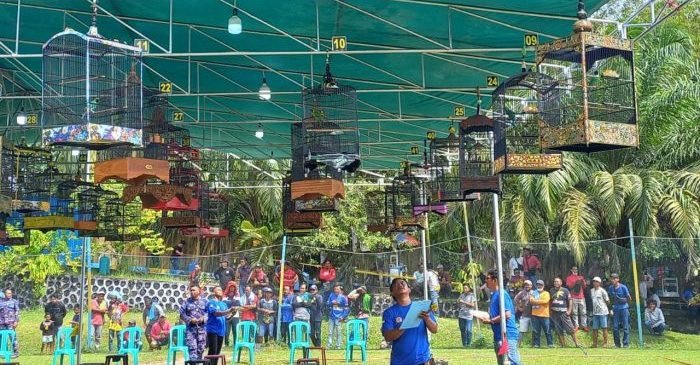 Polda Kaltim menggelar lomba burung berkicau, di Mako Ditpolairud Polda Kaltim pada hari Minggu (25/6/2023). Foto: BorneoFlash.com/Niken Sulastri.