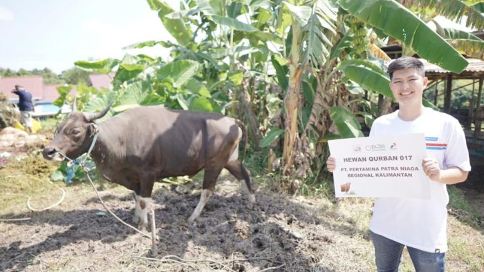 PT Pertamina Patra Niaga Regional Kalimantan Serahkan hewan qurban. Foto: HO/PT Pertamina Patra Niaga.