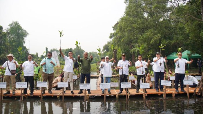 Penanaman mangrove bersama Apical dan Dinas Pertamanan dan Kehutanan Jakarta Utara, di Jakarta pada hari Rabu (26/7/2023). Foto: BorneoFlash.com/Ist.