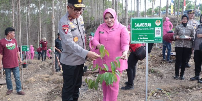 Wujudkan Forest City IKN, Polda Kaltim Bersama Bhayangkari Daerah Kaltim Tanam Bibit Pohon Endemic