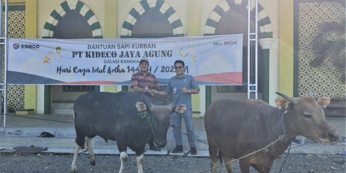 Wakil Direktur Eksternal, Legal & Security, Erlangga Gaffar menyerahkan bantuan sapi kurban di Desa Samurangau, Kecamatan Batu Sopang, Kabupaten Paser. Foto: HO/Kideco.