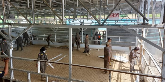 Tempat Judi dan Sabung Ayam di RT 94 Kelurahan Manggar Dibongkar, Tindak Lanjut Laporan Warga 