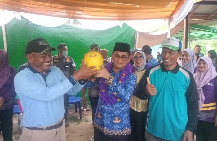 Wali Kota Balikpapan H Rahmad Mas'ud saat melakukan panen raya Kebun Sumber Berkah di RT 37 Kelurahan Batu Ampar Kecamatan Balikpapan Utara, pada hari Senin (25/9/2023). BorneoFlash.com/Niken Sulastri.