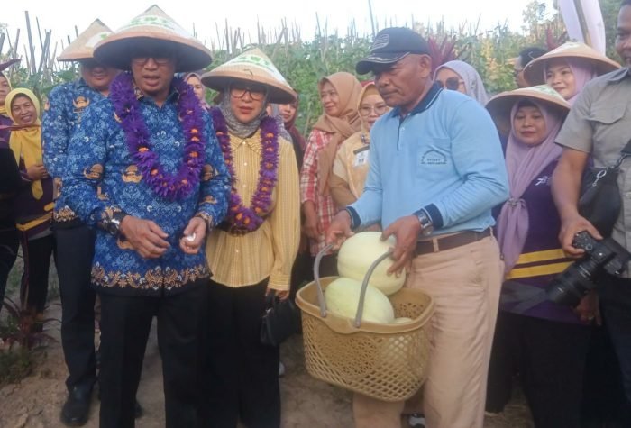 Wali Kota Balikpapan H Rahmad Mas'ud bersama istri Nurlena Mas'ud saat melakukan panen raya Kebun Sumber Berkah di RT 37 Kelurahan Batu Ampar Kecamatan Balikpapan Utara, pada hari Senin (25/9/2023). BorneoFlash.com/Niken Sulastri.