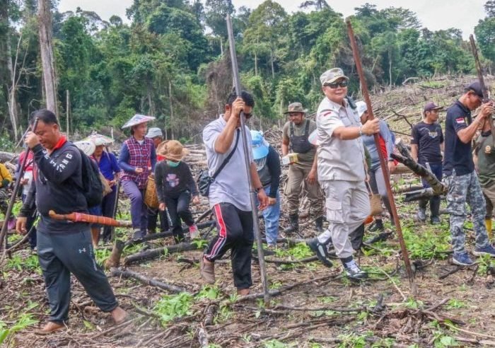 Bupati Mahulu Bonifasius Belawan Geh, bersama warga menanam padi ladang di Kampung Datah Naha, Kecamatan Long Pahangai, kabupaten Mahakam Ulu, beberapa waktu lalu. Foto: HO/prokopim Mahulu.