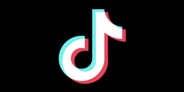 Viral! Cara Download Video TikTok Aman dan Legal Lewat Internal Fitur