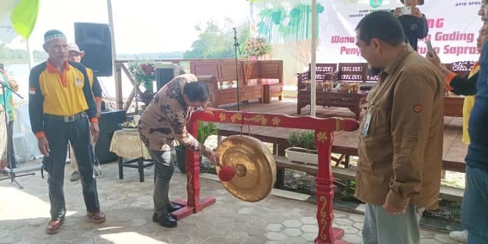 Wisata Alam Tanjung Gading Menambah Pilihan Destinasi Wisata Kota Balikpapan 