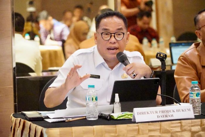 Pj Bupati Penajam Paser Utara (PPU) Sekaligus Direktur Produk Hukum Daerah (PHD) Kemendagri, menyampaikan sejumlah langkah akselerasi percepatan penyelesaian revisi Revisi Tata Ruang Wilayah (RTRW) di Ambara Hotel, Jalan Iskandarsyah Raya No. 1 Blok M Jakarta Selatan, Rabu (24/1/2024). Foto: HO/DiskominfoPPU.