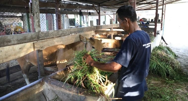 Program CSR PT Pertamina EP (PEP) Sangasanga Field. Foto: HO/PHI.