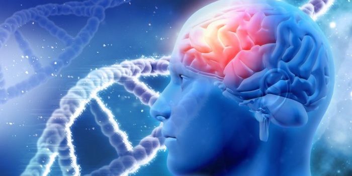 Berikut 5 Makanan yang Bisa Rusak Otak Kalau Dimakan Kebanyakan