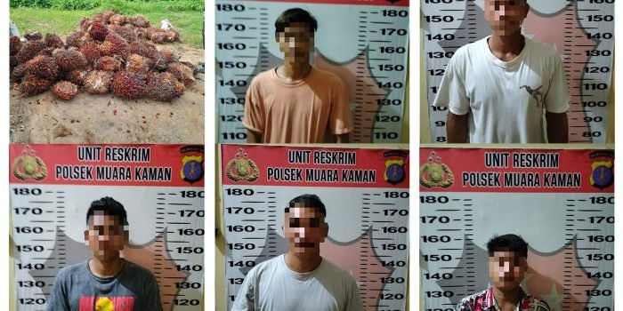5 pelaku pencurian dengan barang bukti kelapa sawit diamankan Polsek Muara Kaman. Foto: IST/Humas Polda Kaltim