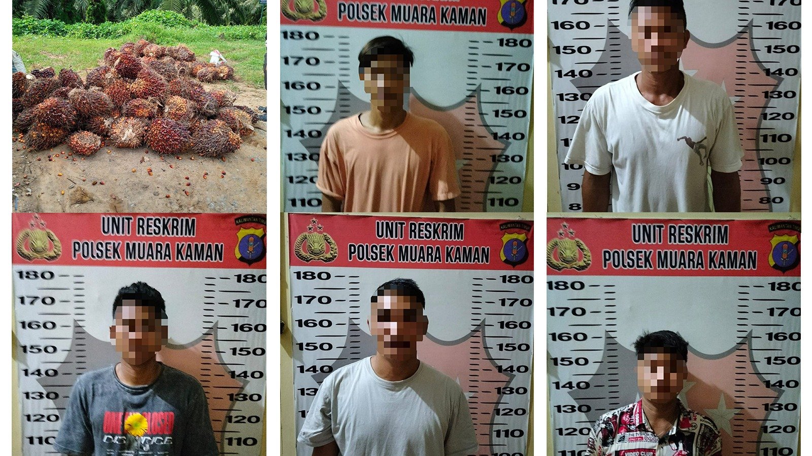 Curi Buah Kelapa Sawit PT PMM, 5 Pemuda Diamankan Polsek Muara Kaman