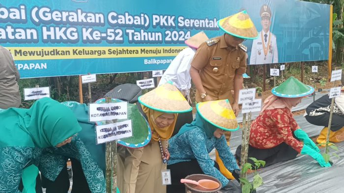 Gerakan menanam cabai serentak dilakukan di Jalan Dandito RT 22 Kelurahan Lamaru Kecamatan Balikpapan Timur. Foto: BorneoFlash/Niken Sulastri