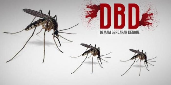 Ilustrasi: Demam berdarah dengue (DBD)