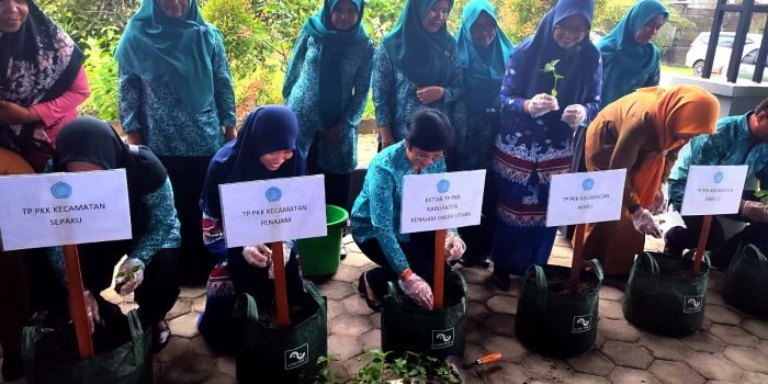 Ketua PKK Kabupaten PPU, Linda Romauli Siregar saat melakukan gerakan tanam cabai secara nasional bagian dari kegiatan peringatan Hari Kesatuan Gerak (HKG) PKK ke-52 tahun 2024. Foto: IST/DiskominfoPPU