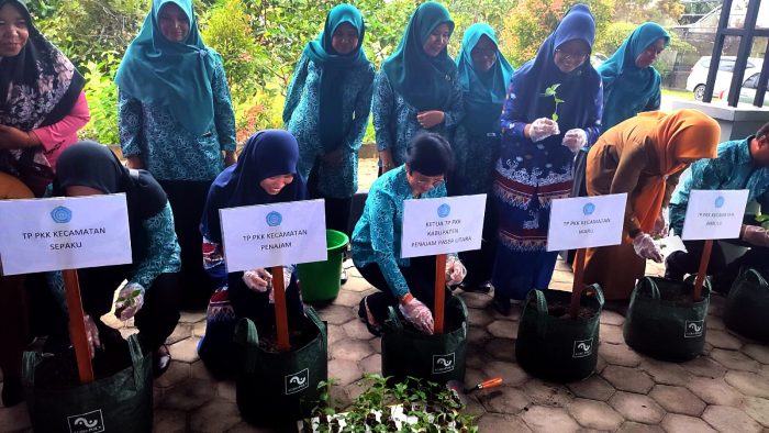 Ketua PKK Kabupaten PPU, Linda Romauli Siregar saat melakukan gerakan tanam cabai secara nasional bagian dari kegiatan peringatan Hari Kesatuan Gerak (HKG) PKK ke-52 tahun 2024. Foto: IST/DiskominfoPPU