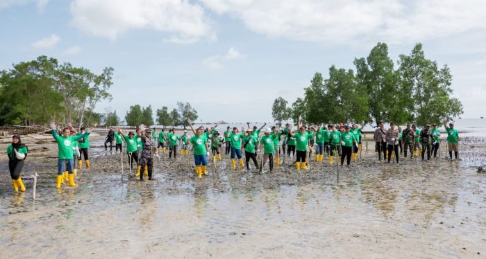 PT Pertamina EP Bunyu Field tanam 1.000 bibit mangrove di Pantai Sungai Lumpur. Foto: HO/PEP Bunyu Field