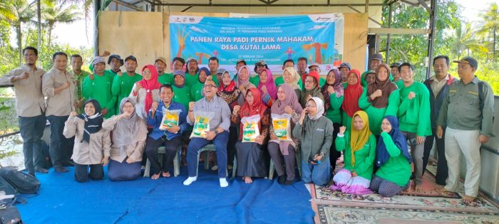 Panen raya perdana pertanian organik melalui Program Pernik Mahakam CSR PHM  di demplot di Desa Kutai Lama, Anggana, Kutai Kartanegara, pada 22 Februari 2024 lalu. Foto: HO/PHM