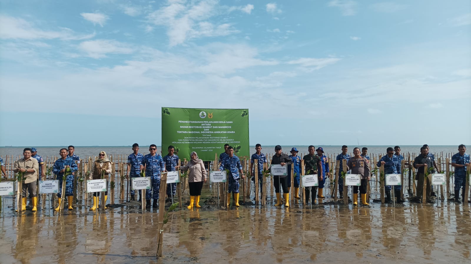 Bentuk Dukungan Terhadap Keberadaan IKN, BRGM Gandeng TNI AU Tanam Mangrove di Kawasan Pantai Lanud Dhomber 