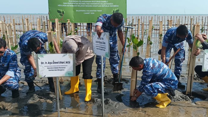 Sekretaris BRGM, Ayu Dewi Utari bersama Aspotdirga Marsekal Muda TNI Adi Wijaya melakukan penanaman bibit mangrove di kawasan Pantai Lanud Dhomber Balikpapan, Sabtu (2/3/2024). Foto: BorneoFlash/Niken Sulastri