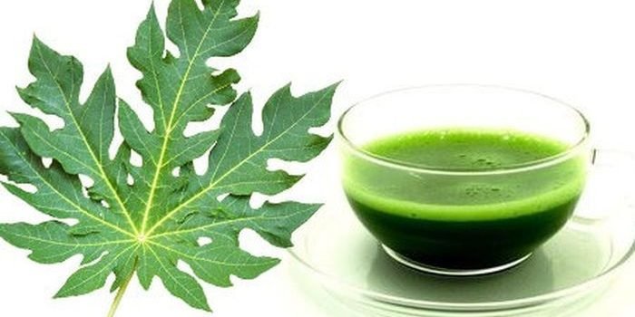 Ilustrasi, Jus Daun pepaya