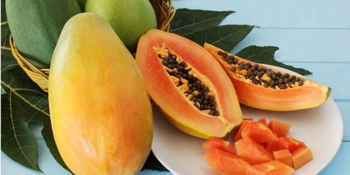 Ilustrasi Buah Pepaya